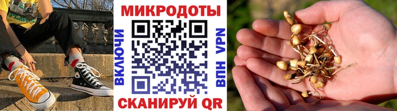 Псилоцибиновые грибы прущие грибы  KRAKEN ссылки  Алупка 
